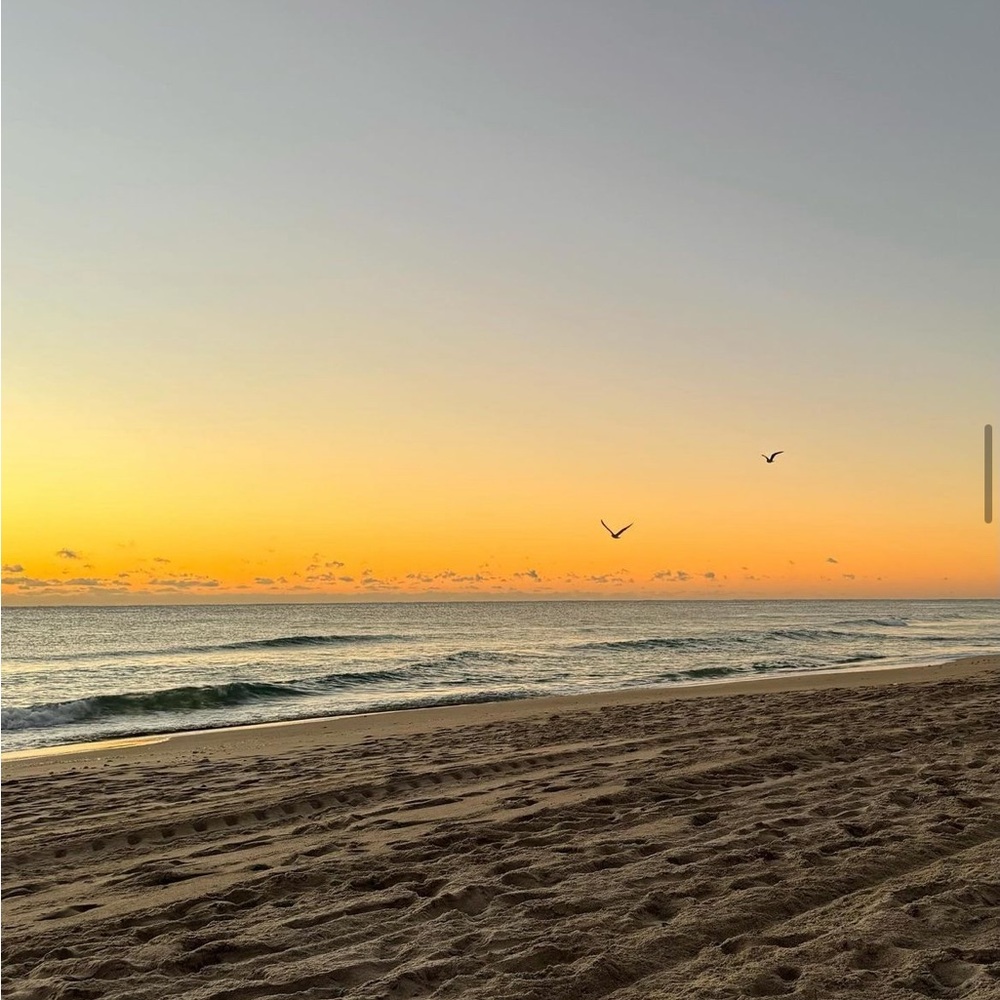 Meet your Posher, Lynn